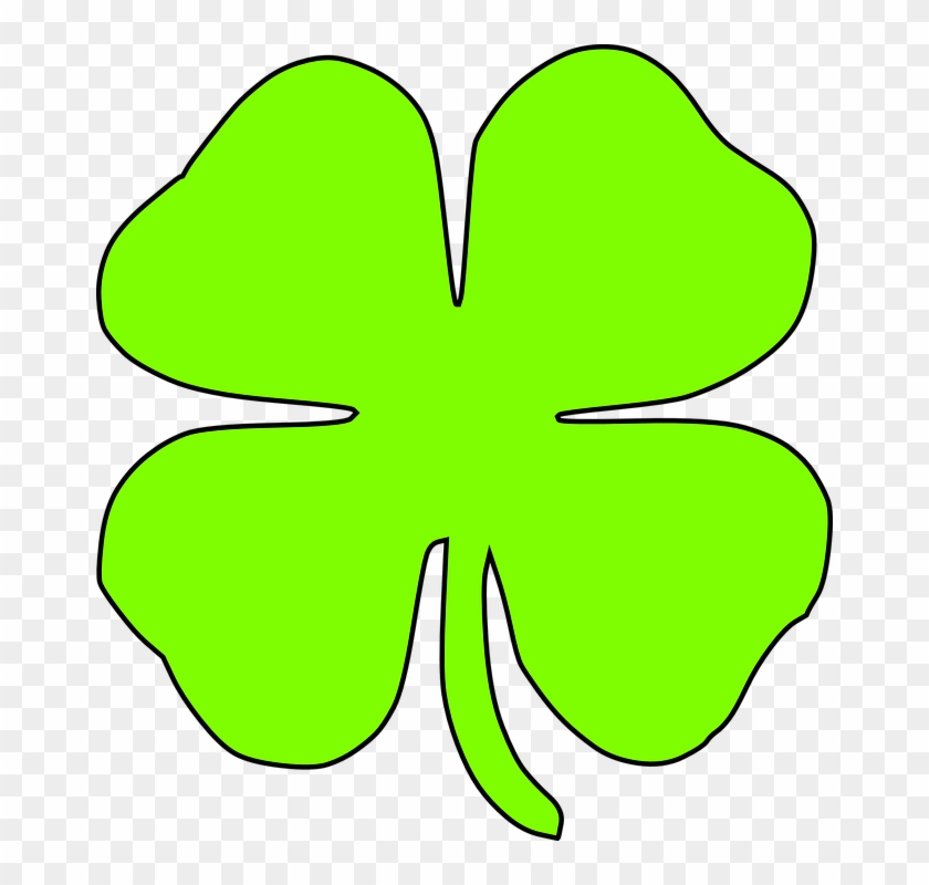 Green Lucky Four Leaf Irish Clover Stock Vector (Royalty Free) 212047444