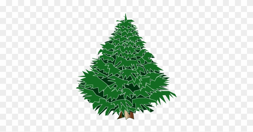 Pix For Evergreen Clip Art - Evergreen Tree #390022