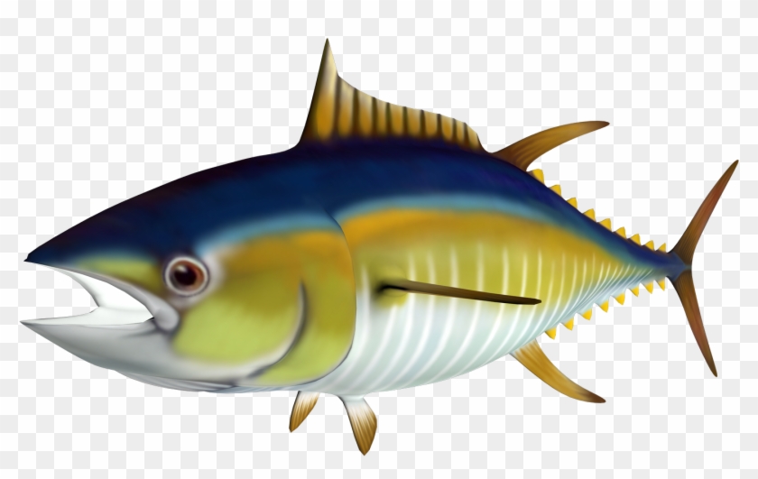 Free High Resolution Graphics And Clip Art - Tuna Clipart Png #390289