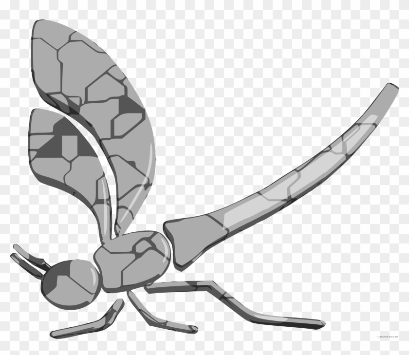 Grayscale Dragonfly Animal Free Black White Clipart - Cafepress Glass Dragonfly Queen Duvet #390688