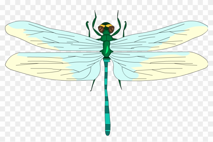 Below Is A Rendering Of The Page Up To The First Error - Dragonfly #390748