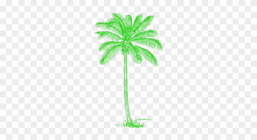 Green Palm Tree Image - Free Palm Tree Drawing #391691