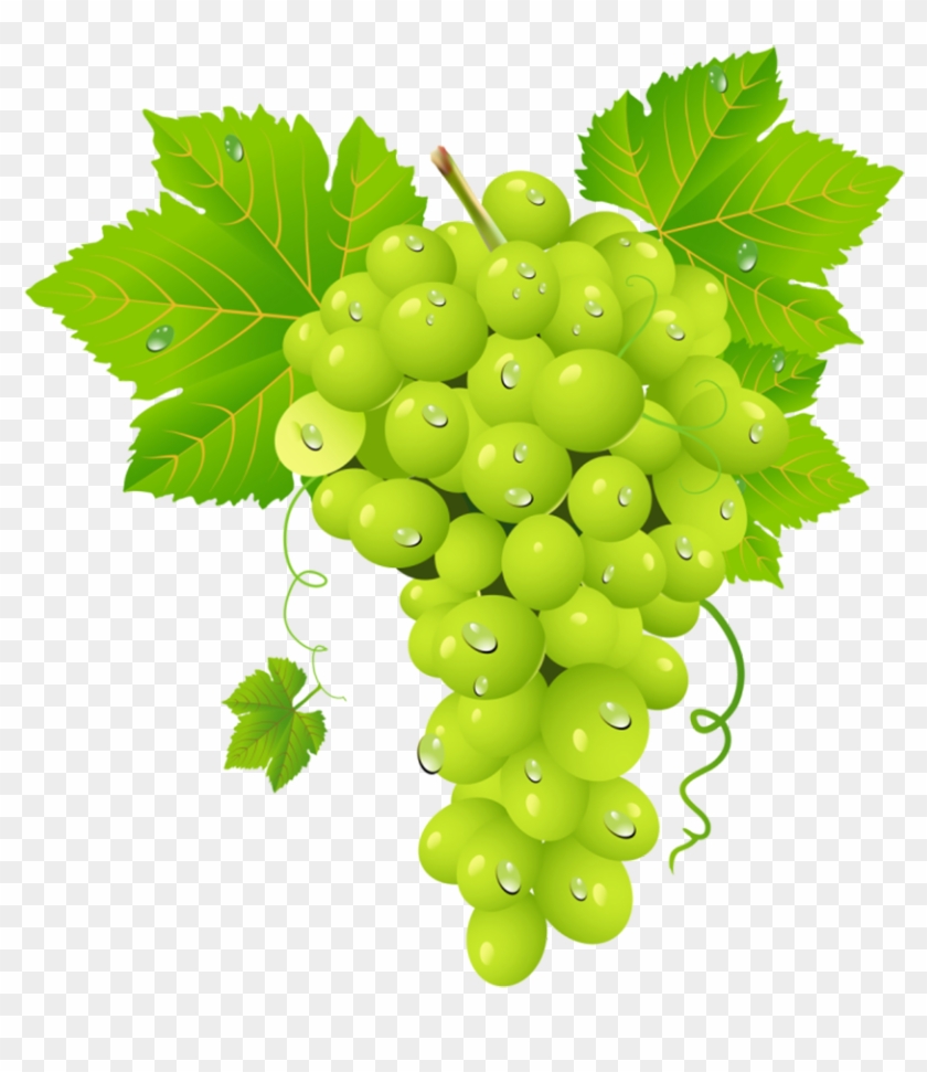 Grapes Fruits Png Transparent Images Clipart Icons - Winogrona Transparent #391759