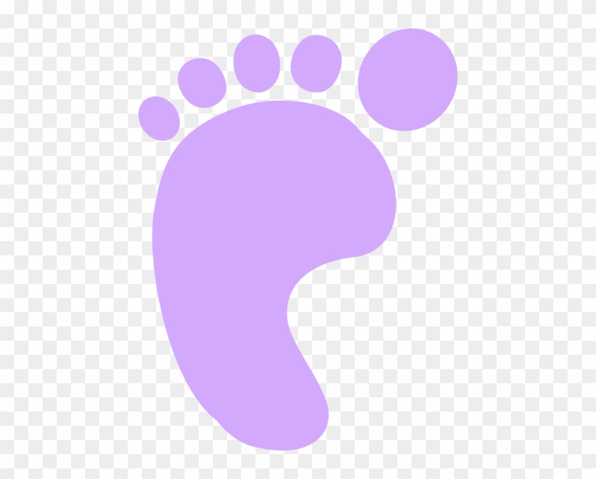 Footprint Clipart Purple - Life Cycle Key Words #391918