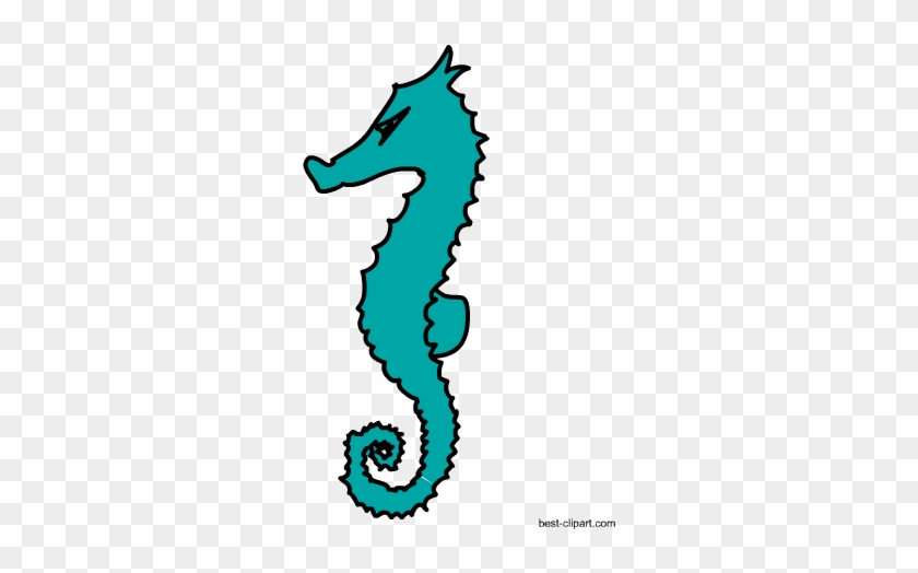 Sea Horse Free Marine Animal Clipart - Animal #392704