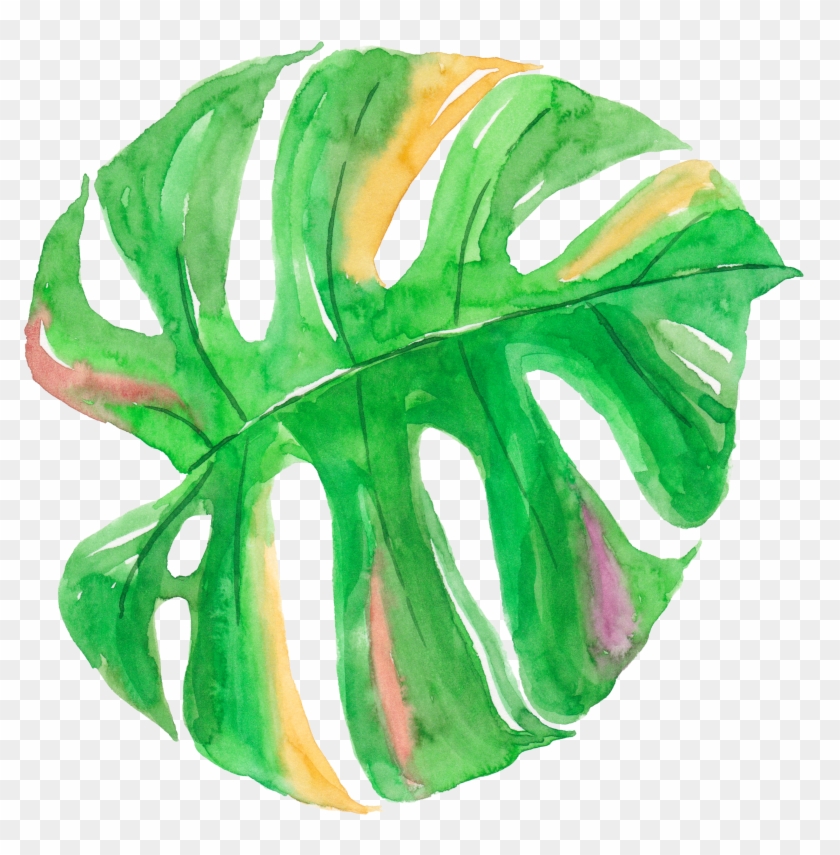 Leaf Watercolor Painting Canvas - Leaves Watercolor Tropical Leaves Png #396960