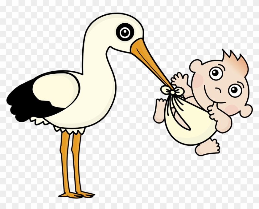 Stork Baby Child Â - Nacimiento Png #397078