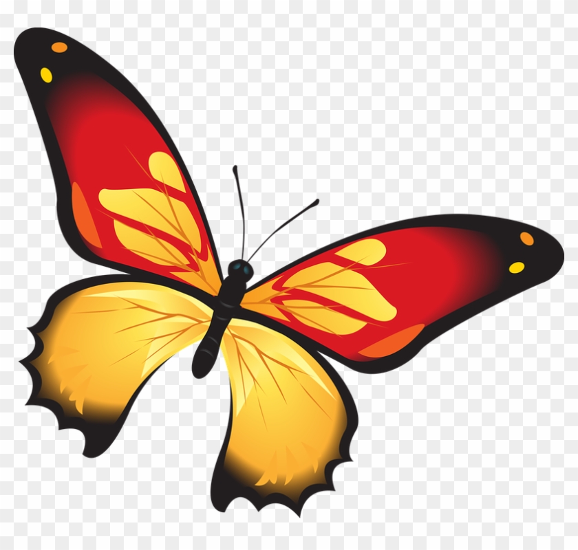 Butterfly, Colorful, Red, Orange, Insect, Decoration - Schmetterling Png #397699