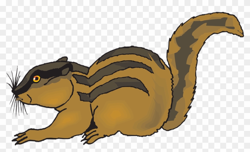 Animated Squirrel Clipart 24, Buy Clip Art - Chipmunk Clipart #398415