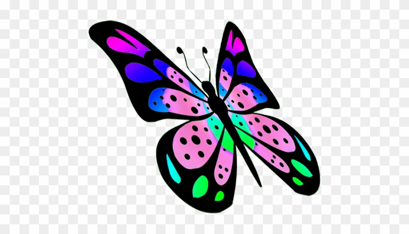 Flying Butterfly Png - Colorful Butterfly Many #399058