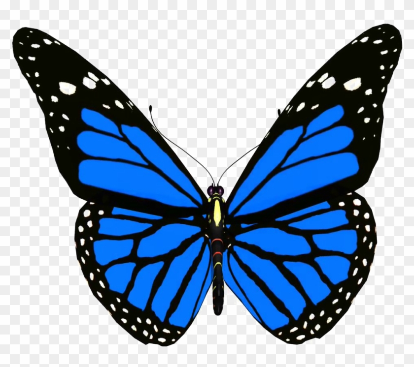 Download Blue Butterfly Png Pic Animated Picture Of Butterfly Free Transparent Png Clipart Images Download