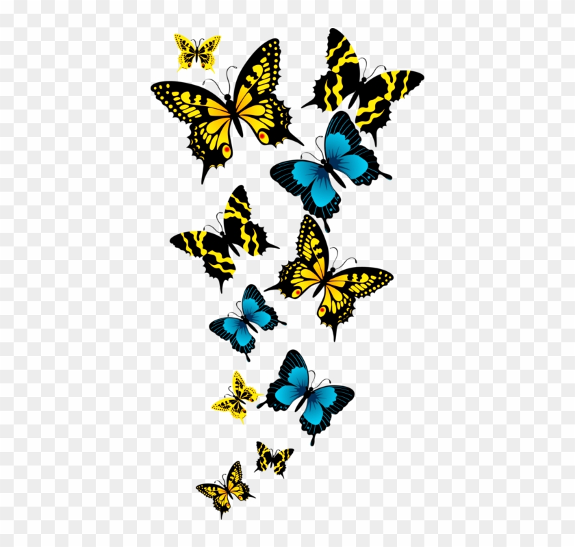 Beautiful Butterfly In Group Transparent Background Png Format Butterfly Png Background Free Transparent Png Clipart Images Download