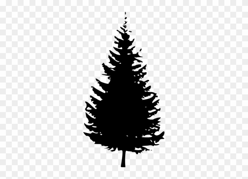 Pine Tree Deciduous Tree Black Adn White Clipart Cliparthut - Pine Tree Outline Png #401588