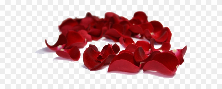 Rose Petals Clipart - Red Roses Petals Png - Free Transparent Png 