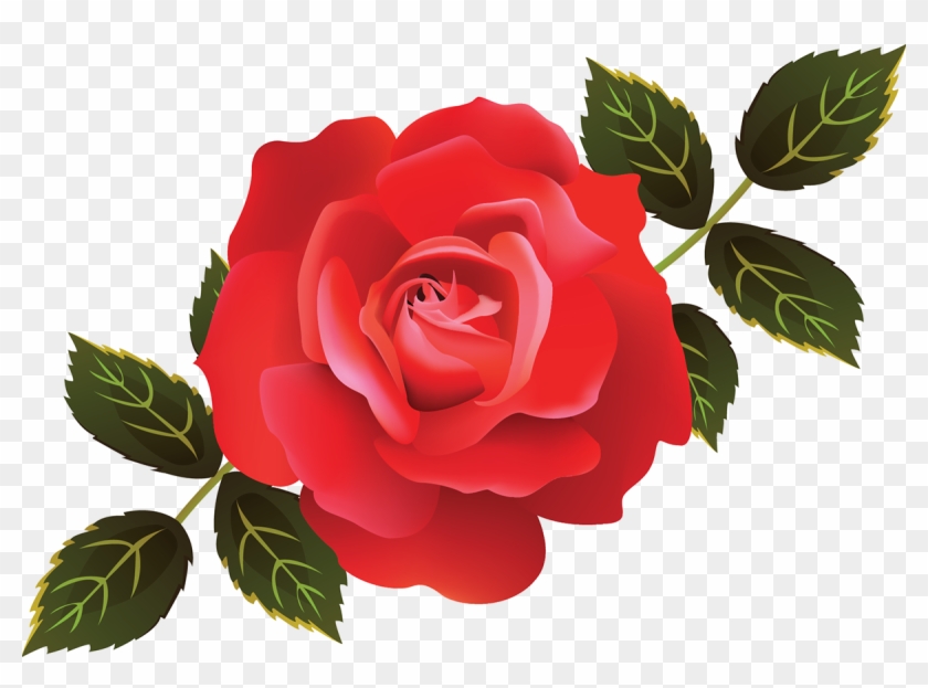 Illustrator Rose Mesh - Floribunda #406255