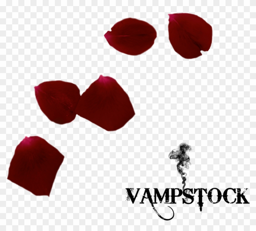 Rose Petal Png 1 Vampstock By Vampstock - Pink Umbrella Png #406670