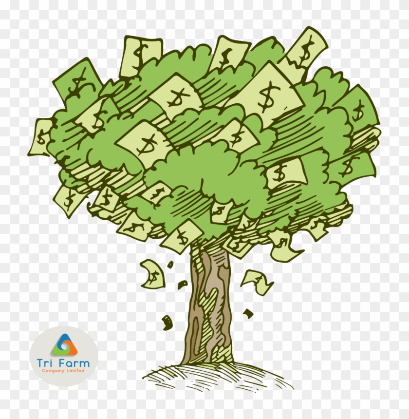 Introducing Our Newest Product Money Tree - Clip Art #407192