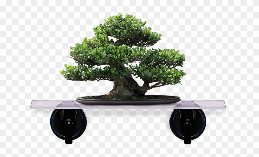 Artificial Bonsai Tree #407677