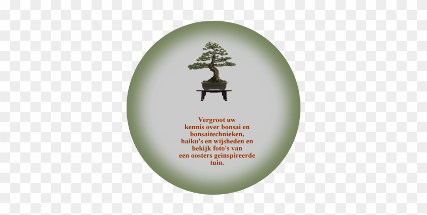 Japanese Bonsai Tree #407718