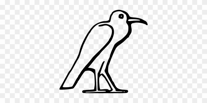 Ancient Animal Bird Egypt Egyptian Bird Bi - Ancient Egypt Bird Drawing #409267