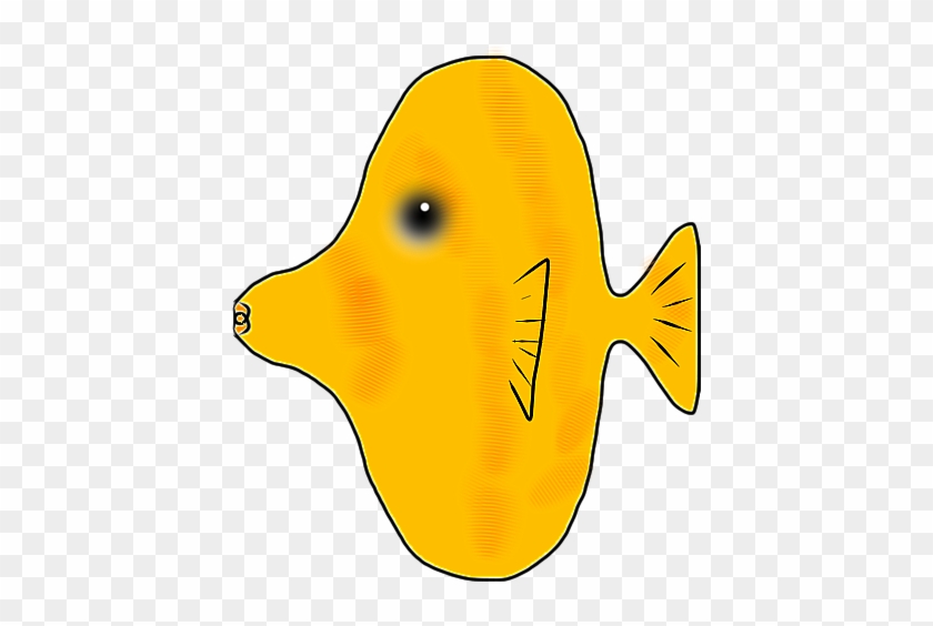 Fish Cartoon Transparent Background Fish Cartoon Transparent