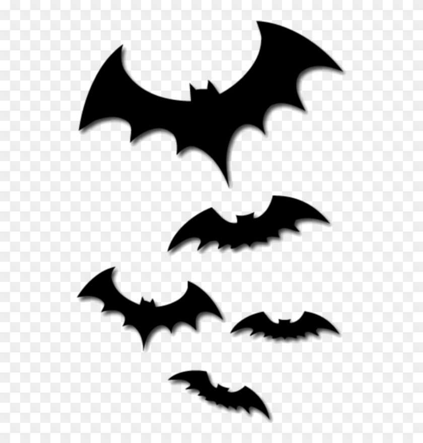 Black Bat Drawing Images Hình Xăm Con Dơi Free Transparent PNG