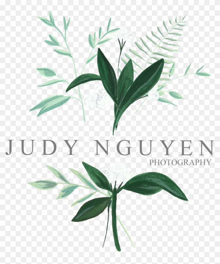 Judy Nguyen - Judy Nguyen #415748