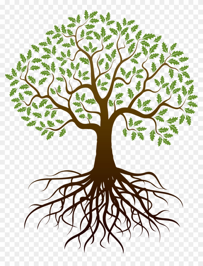 Barnes Family Reunion - Tree Clipart With Roots - Free Transparent PNG