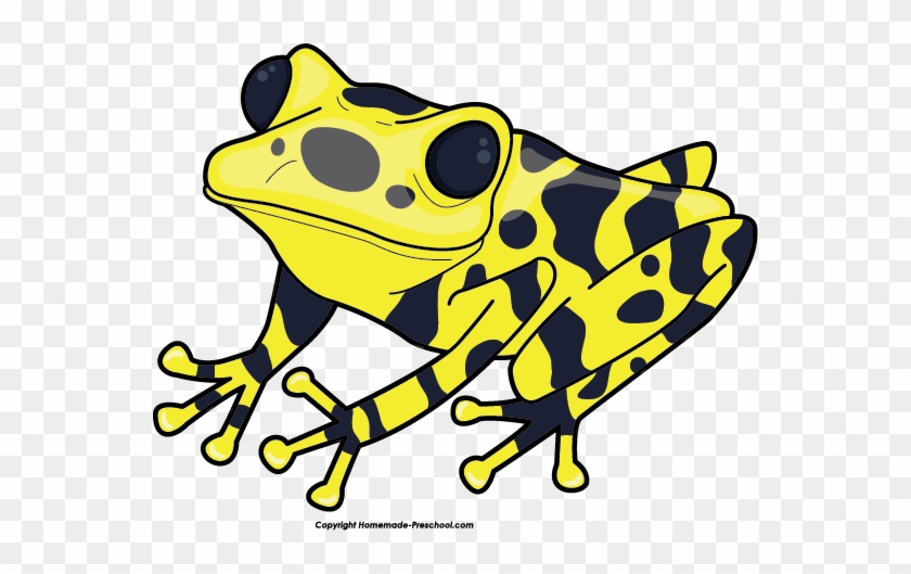 Spring - Poison Dart Frog Clip Art #417612