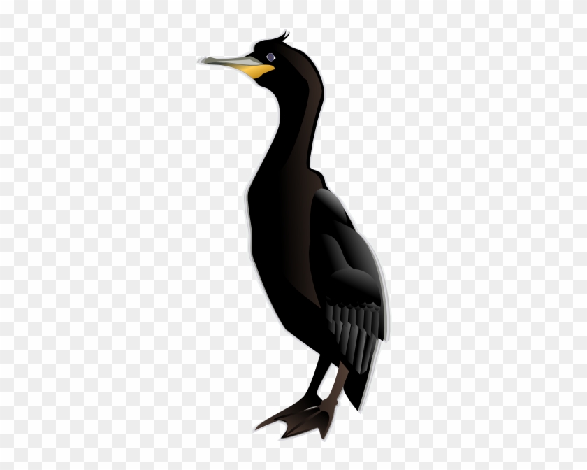 Free Vector Cormorant Md Clip Art - Cormorant Clipart #418273