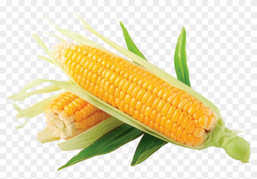 Vegetable Clipart Yellow Corn - Corn Png #418350