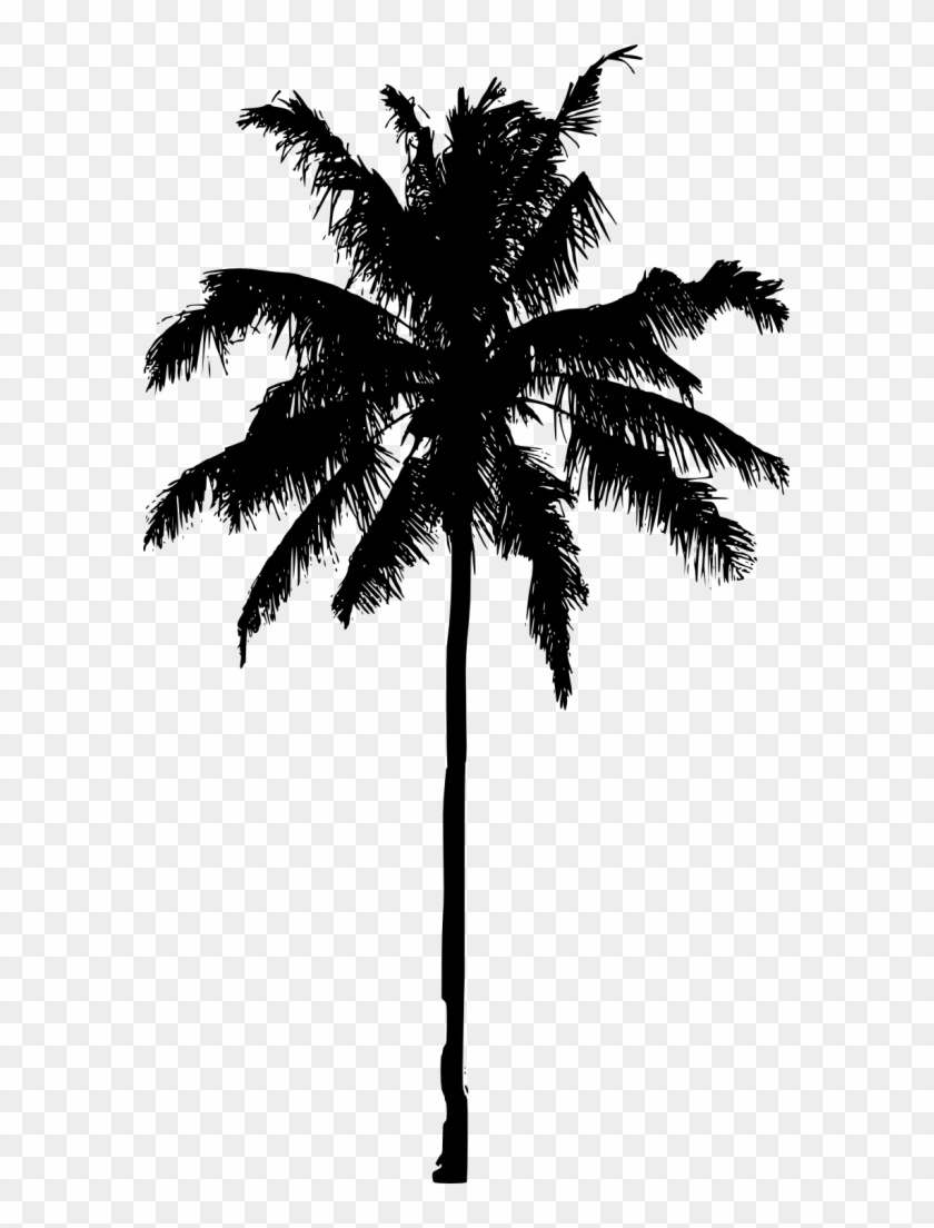 851 × 1500 Px - Transparent Palm Tree Silhouette - Free Transparent PNG ...