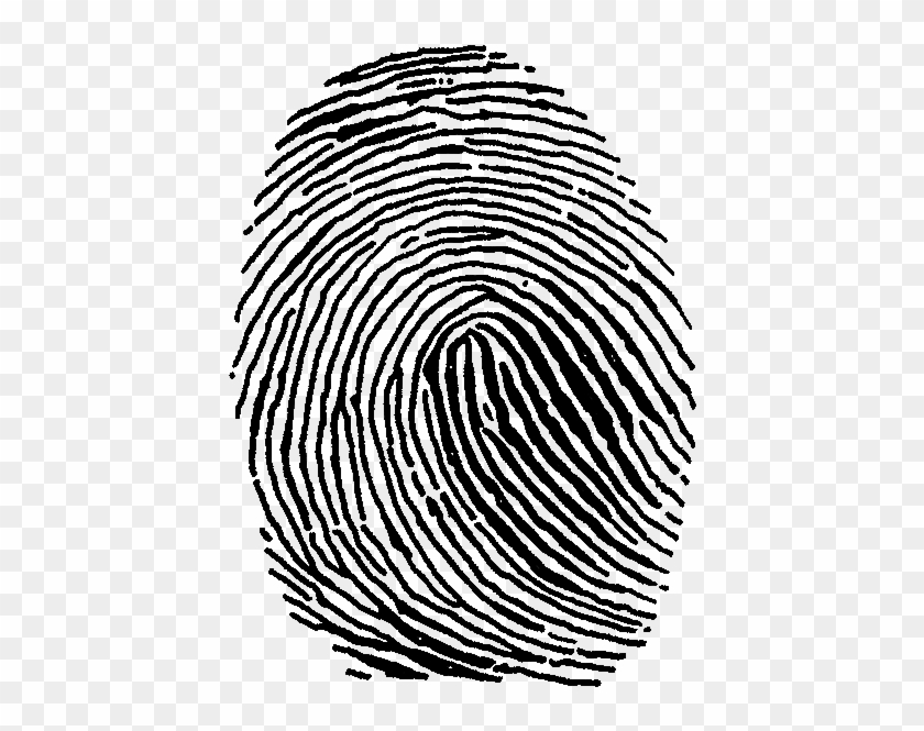 Fingerprint Fingerprint Clip Art Full Size PNG Clipart Images Download