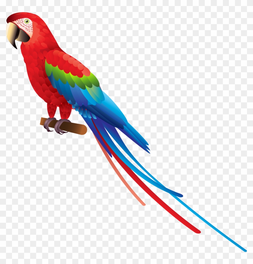 Free Icons Png - Parrot Clipart #68983