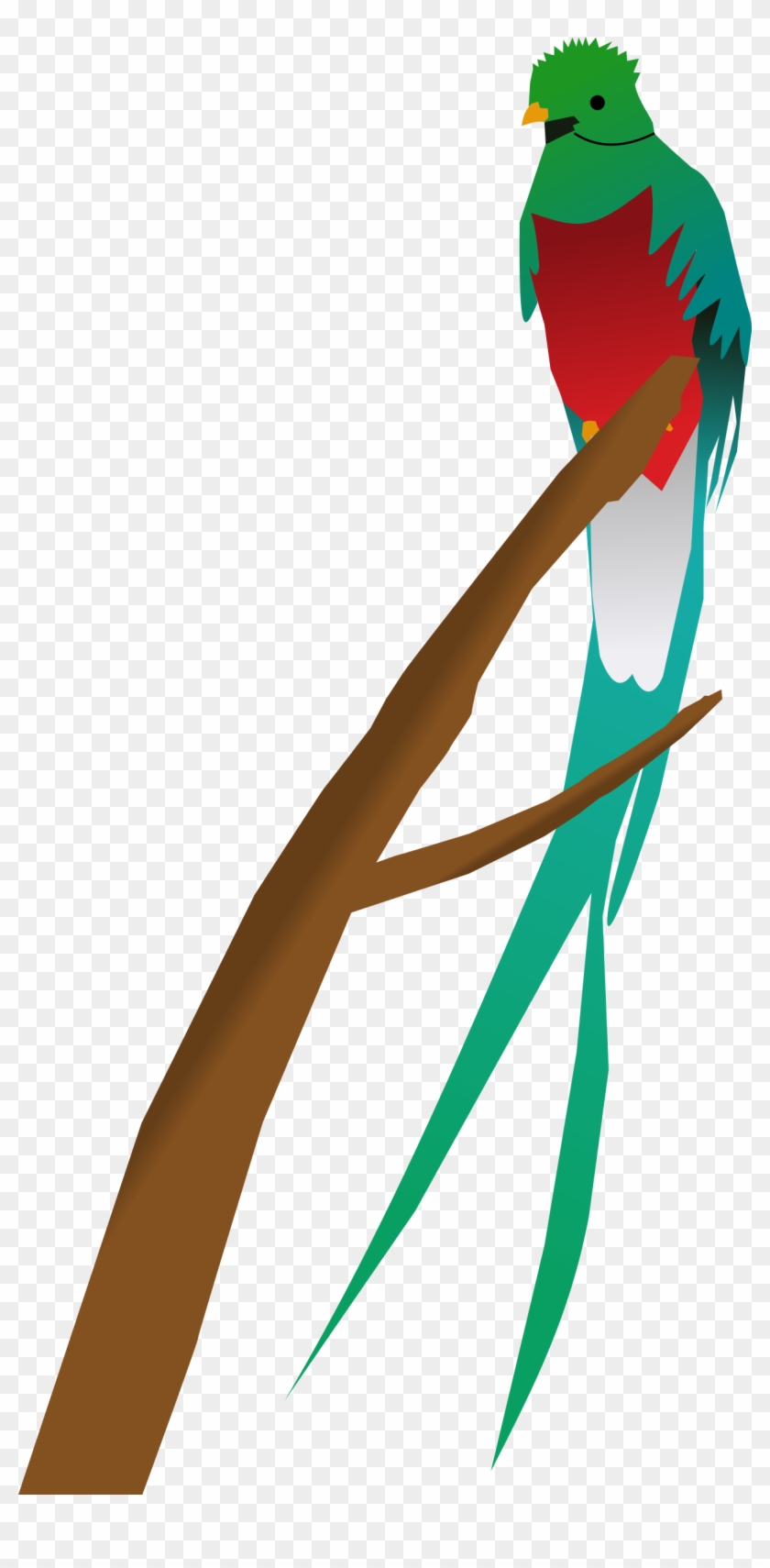 Quetzal - Quetzal Clipart #69542