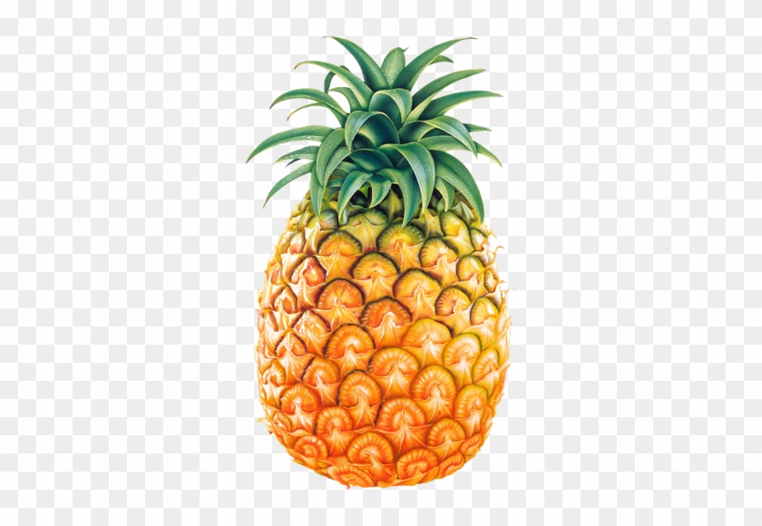 Ананас, Яркий, Вид Спереди, Pineapple, Png - Pineapple Png #421083