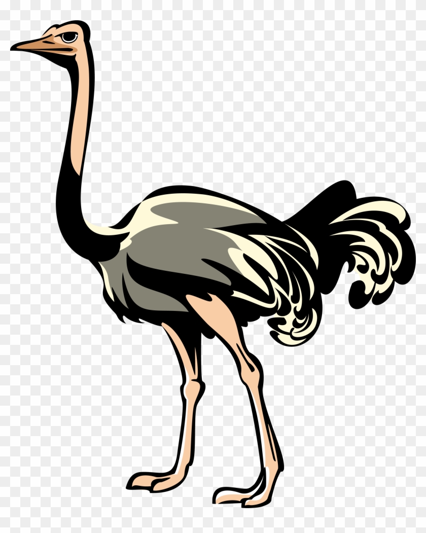 Common Ostrich Bird Clip Art - Common Ostrich Bird Clip Art #421089