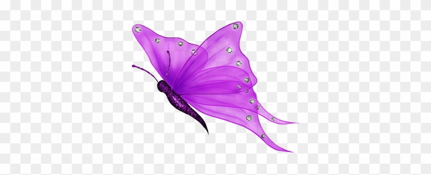 Resource Purple Butterfly By Ektamisra Butterfly With Transparent Background Free Transparent Png Clipart Images Download