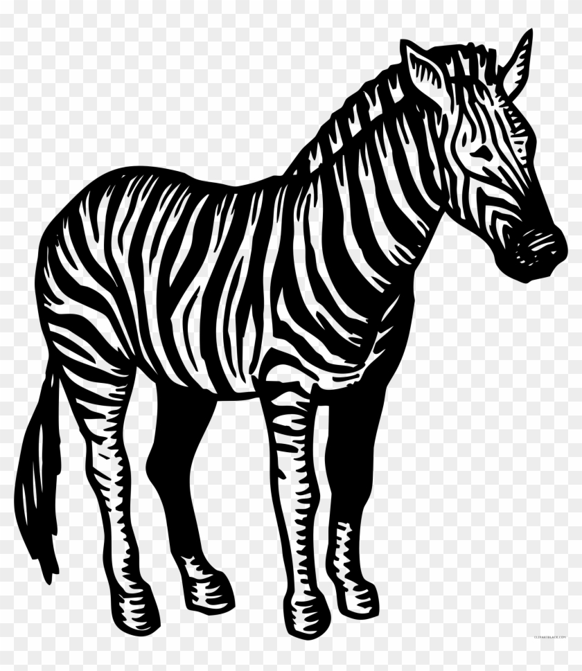 Big Image - Zebra Illustration #422033