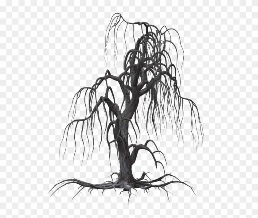 Creepy Tree 19 By Wolverine041269 On Clipart Library - Creepy Tree Drawing #422282