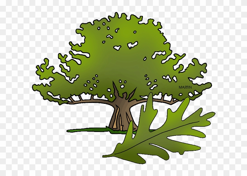 Connecticut - Clipart - Post Oak #424485