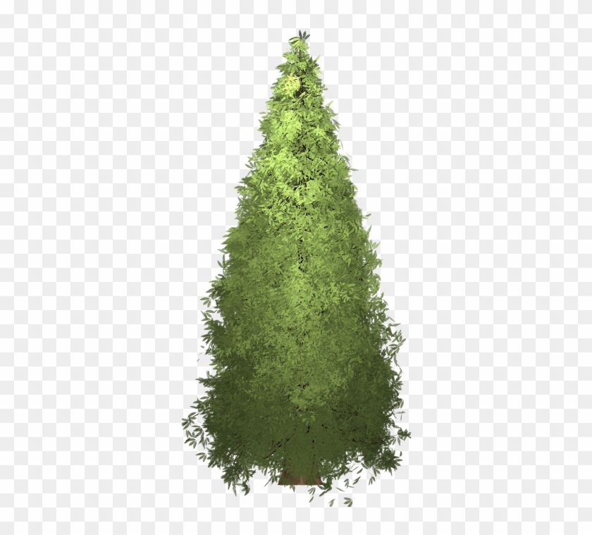 Clipart Redwood Tree - 16 Ft Pre Lit Christmas Tree #425667