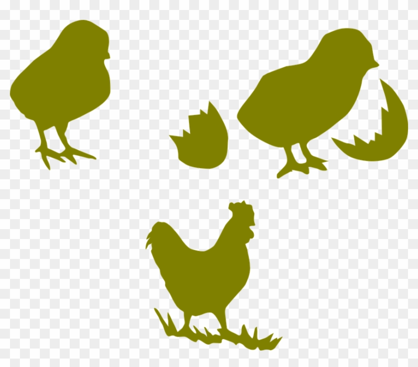 Chicken Illustrations 28, Buy Clip Art - Outline Chickens Clipart Png #427477