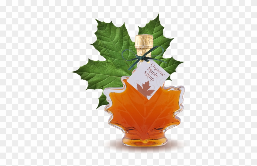 100% Pure Organic Maple Syrup Large Maple Leaf Bottle - Bulk Maple Syrup For Sale #428680