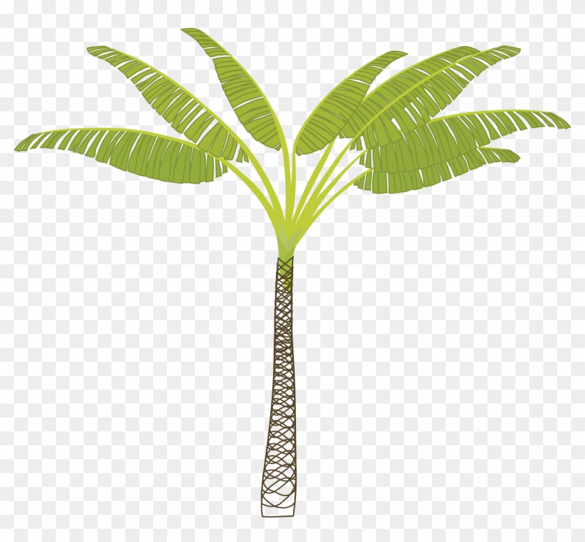 Palm-tree - Business Card Palm Tree #430635