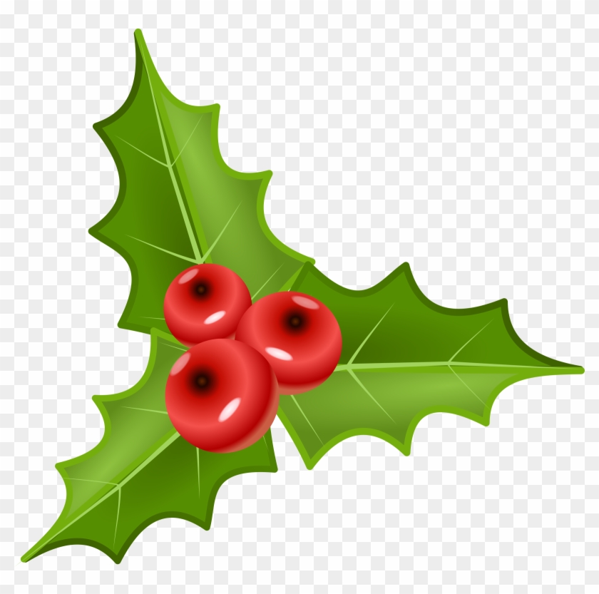 Holly - Free Holly Berry Clipart - Free Transparent PNG Clipart Images ...