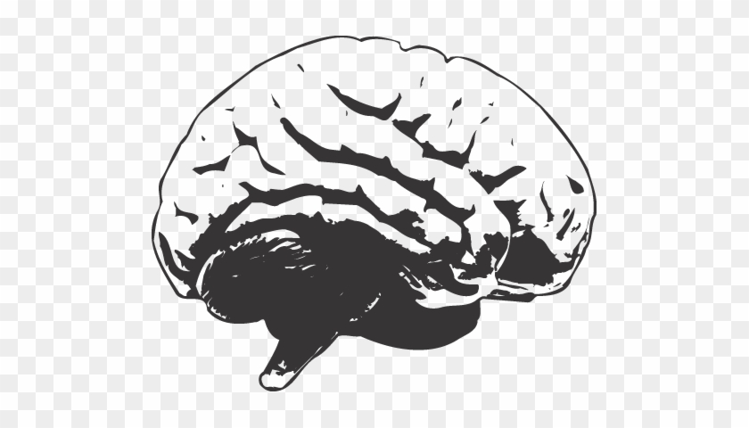Cool Brain Drawing Download - White Brain Logo Png #433607