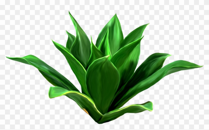 Leaf Download Seagrass Clip Art - Pianta Png #435780