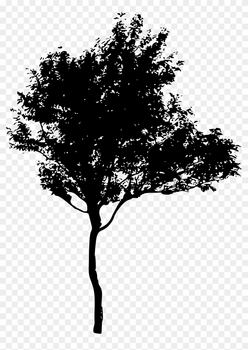 black tree silhouette transparent