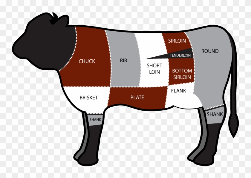 Cow Cuts Part Of The Cow Is Brisket Free Transparent Png Clipart Images Download